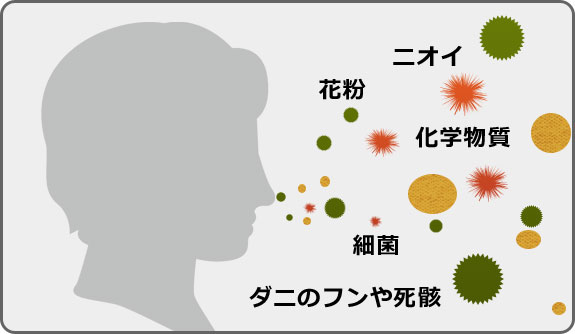 1日の空気の摂取量は20kg