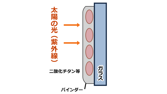 有害物質を分解するしくみ